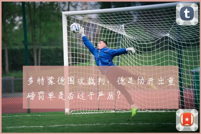多特蒙德围攻裁判，德足协开出重磅罚单是否过于严厉？